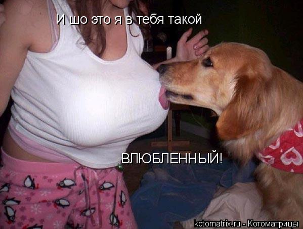 И шо это я в тебя такой ВЛЮБЛЕННЫЙ!... Котоматрица: И шо это я в тебя такой ВЛЮБЛЕННЫЙ!