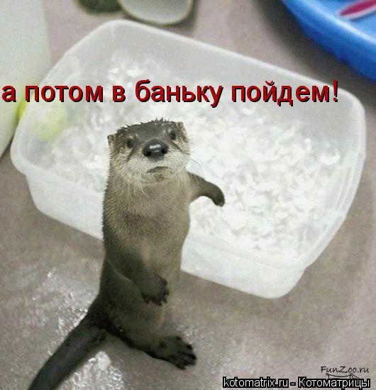а потом в баньку пойдем!... Котоматрица: а потом в баньку пойдем!
