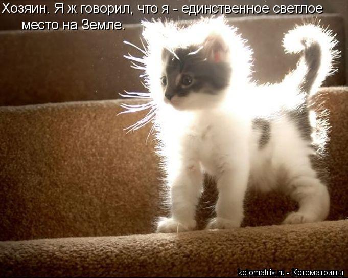 Хозяин. Я ж говорил, что я - единственное светлое место на Земле.... Котоматрица: Хозяин. Я ж говорил, что я - единственное светлое место на Земле.