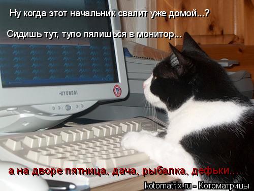 Ну когда этот начальник свалит уже домой...? Сидишь тут, тупо пялишься в монитор... а на дворе пятниц... Котоматрица: Ну когда этот начальник свалит уже домой...? Сидишь тут, тупо пялишься в монитор... а на дворе пятница, дача, рыбалка, дефьки...