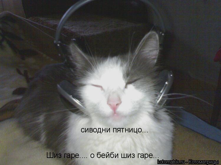 Шиз гаре.... о бейби шиз гаре... сиводни пятницо...... Котоматрица: Шиз гаре.... о бейби шиз гаре... сиводни пятницо...