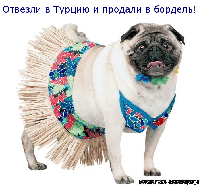 Отвезли в Турцию и продали в бордель!... Котоматрица: Отвезли в Турцию и продали в бордель!