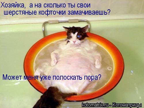 Хозяйка, а на сколько ты свои шерстяные кофточки замачиваешь? Может меня уже полоскать пора?... Котоматрица: Хозяйка, а на сколько ты свои шерстяные кофточки замачиваешь? Может меня уже полоскать пора?