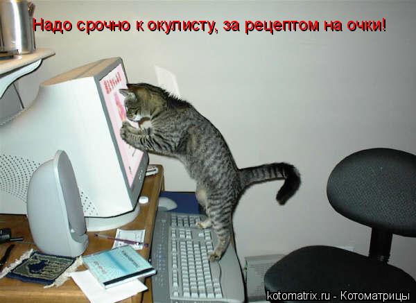 Надо срочно к окулисту, за рецептом на очки!... Котоматрица: Надо срочно к окулисту, за рецептом на очки!