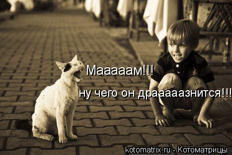 Мааааам!!! ну чего он драаааазнится!!!!!... Котоматрица: Мааааам!!! ну чего он драаааазнится!!!!!