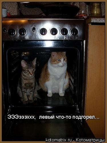 ЭЭЭэээххх, левый что-то подгорел...... Котоматрица: ЭЭЭэээххх, левый что-то подгорел...