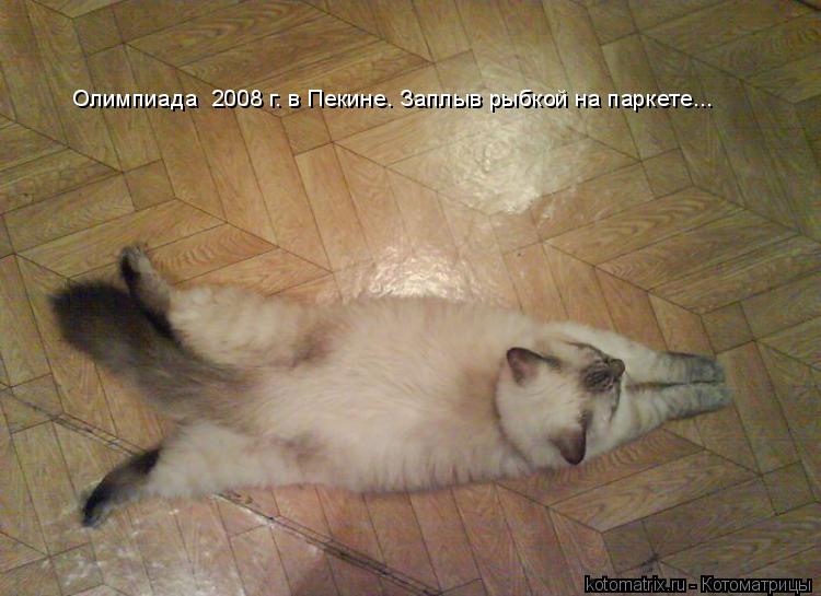 Олимпиада 2008 г. в Пекине. Заплыв рыбкой на паркете...... Котоматрица: Олимпиада 2008 г. в Пекине. Заплыв рыбкой на паркете...