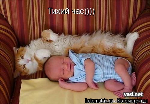 Тихий час))))... Котоматрица: Тихий час))))