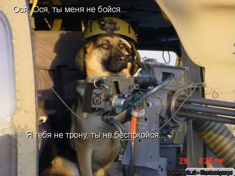 Ося, Ося, ты меня не бойся... Я тебя не трону, ты не беспокойся...... Котоматрица: Ося, Ося, ты меня не бойся... Я тебя не трону, ты не беспокойся...