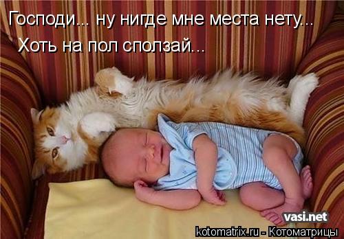Господи... ну нигде мне места нету... Хоть на пол сползай...... Котоматрица: Господи... ну нигде мне места нету... Хоть на пол сползай...