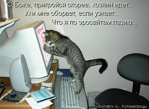 О Боже, прикройся скорее, хозяин идет... Ухи мне оборвет, если узнает... Что я по эросайтам лазию...... Котоматрица: О Боже, прикройся скорее, хозяин идет... Ухи мне оборвет, если узнает... Что я по эросайтам лазию...