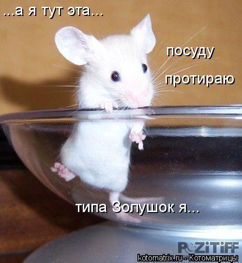...а я тут эта... посуду протираю типа Золушок я...... Котоматрица: ...а я тут эта... посуду протираю типа Золушок я...