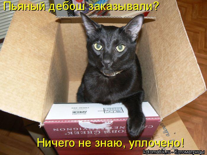 Пьяный дебош заказывали? Ничего не знаю, уплочено!... Котоматрица: Пьяный дебош заказывали? Ничего не знаю, уплочено!