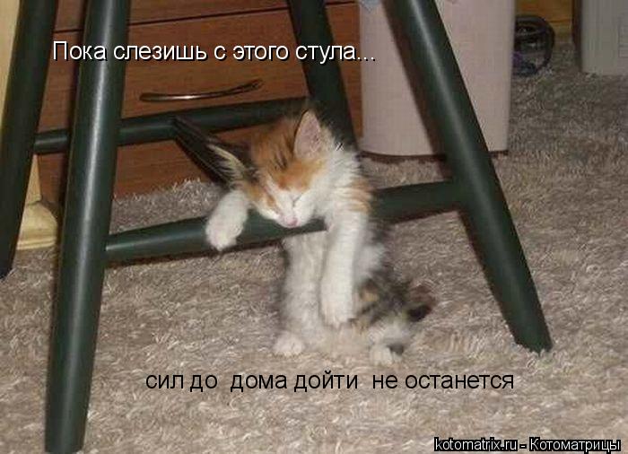 Пока слезишь с этого стула... сил до дома дойти не останется... Котоматрица: Пока слезишь с этого стула... сил до дома дойти не останется