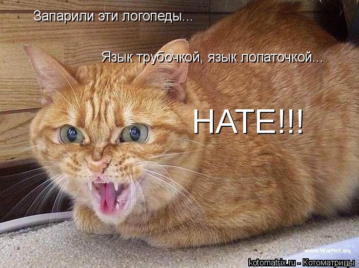 Запарили эти логопеды... Язык трубочкой, язык лопаточкой... НАТЕ!!!... Котоматрица: Запарили эти логопеды... Язык трубочкой, язык лопаточкой... НАТЕ!!!