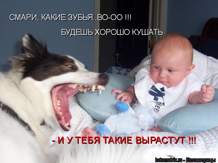 СМАРИ, КАКИЕ ЗУБЬЯ..ВО-ОО !!! БУДЕШЬ ХОРОШО КУШАТЬ - И У ТЕБЯ ТАКИЕ ВЫРАСТУТ !!!... Котоматрица: СМАРИ, КАКИЕ ЗУБЬЯ..ВО-ОО !!! БУДЕШЬ ХОРОШО КУШАТЬ - И У ТЕБЯ ТАКИЕ ВЫРАСТУТ !!!