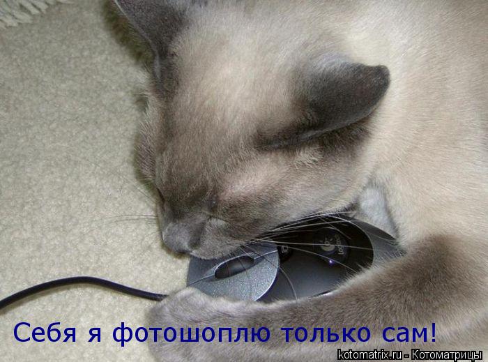 Себя я фотошоплю только сам!... Котоматрица: Себя я фотошоплю только сам!