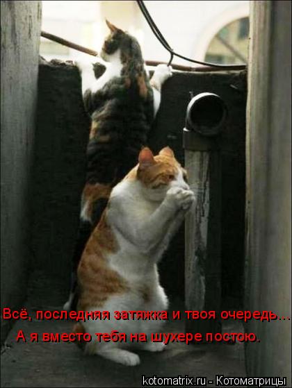Всё, последняя затяжка и твоя очередь... А я вместо тебя на шухере постою.... Котоматрица: Всё, последняя затяжка и твоя очередь... А я вместо тебя на шухере постою.