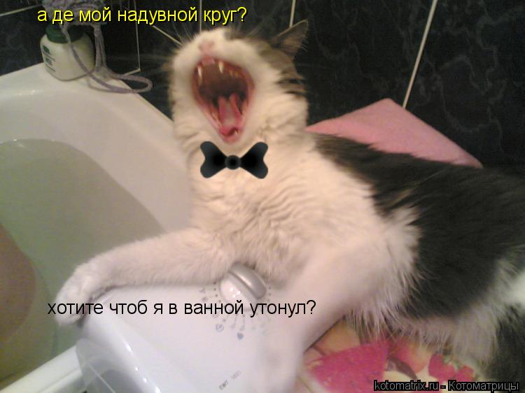 а де мой надувной круг? хотите чтоб я в ванной утонул?... Котоматрица: а де мой надувной круг? хотите чтоб я в ванной утонул?
