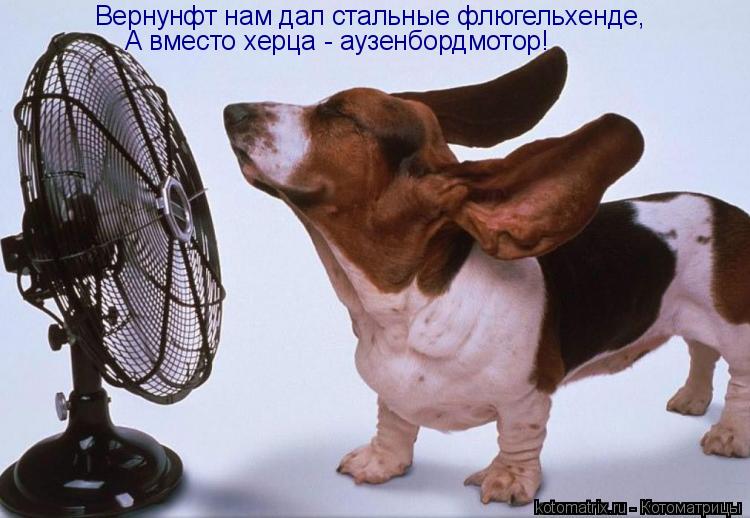 Вернунфт нам дал стальные флюгельхенде, А вместо херца - аузенбордмотор!... Котоматрица: Вернунфт нам дал стальные флюгельхенде, А вместо херца - аузенбордмотор!