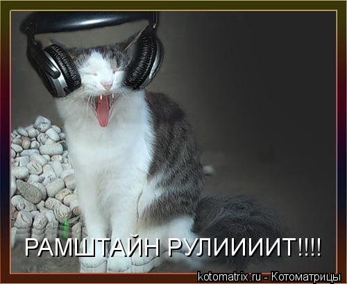 РАМШТАЙН РУЛИИИИТ!!!!... Котоматрица: РАМШТАЙН РУЛИИИИТ!!!!