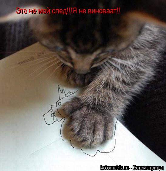 Это не мой след!!!Я не виноваат!!... Котоматрица: Это не мой след!!!Я не виноваат!!