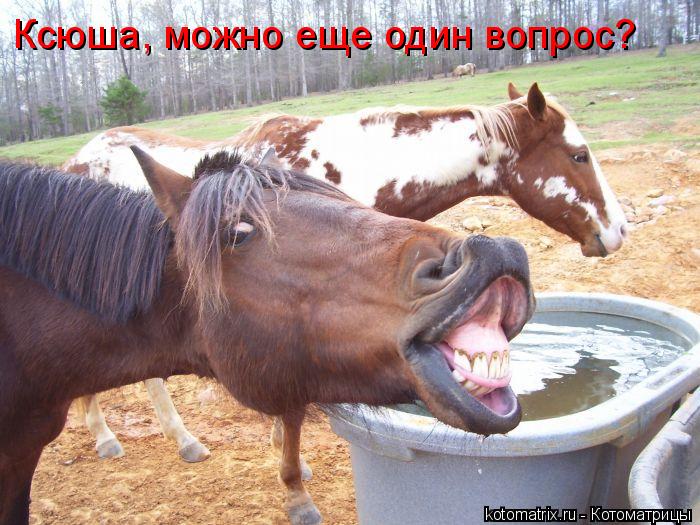 Ксюша, можно еще один вопрос?... Котоматрица: Ксюша, можно еще один вопрос?