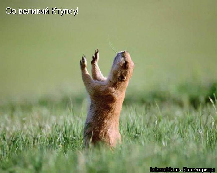 Оо,великий Ктулху!... Котоматрица: Оо,великий Ктулху!