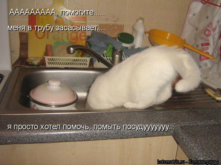ААААААААА, помогите...... меня в трубу засасывает..... я просто хотел помочь, помыть посудууууууу...... Котоматрица: ААААААААА, помогите...... меня в трубу засасывает..... я просто хотел помочь, помыть посудууууууу...