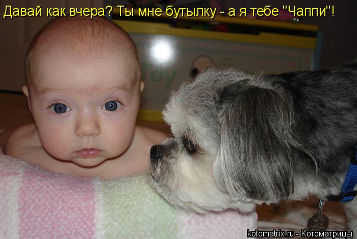 Давай как вчера? Ты мне бутылку - а я тебе "Чаппи"!... Котоматрица: Давай как вчера? Ты мне бутылку - а я тебе "Чаппи"!