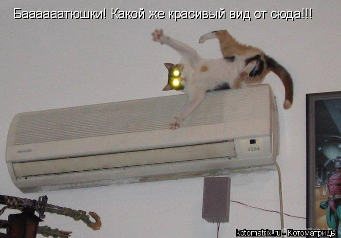Баааааатюшки! Какой же красивый вид от сюда!!!... Котоматрица: Баааааатюшки! Какой же красивый вид от сюда!!!