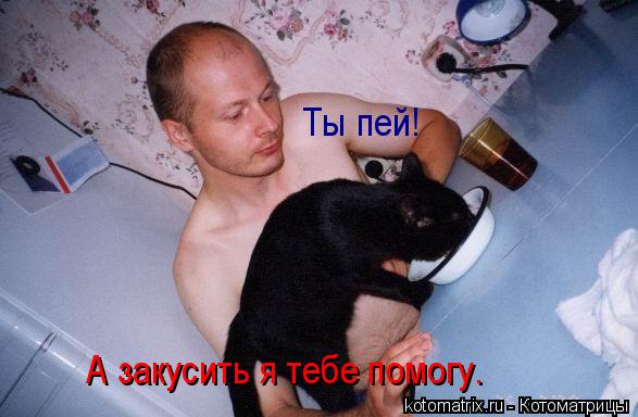 Ты пей! А закусить я тебе помогу.... Котоматрица: Ты пей! А закусить я тебе помогу.