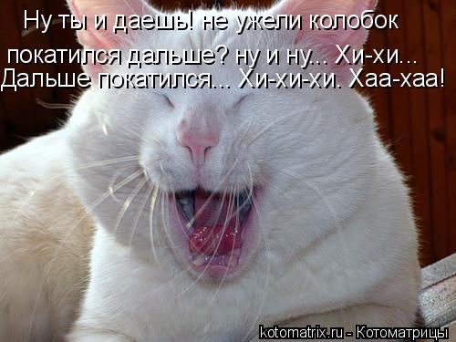 Ну ты и даешь! не ужели колобок покатился дальше? ну и ну... Хи-хи... Дальше покатился... Хи-хи-хи. Х... Котоматрица: Ну ты и даешь! не ужели колобок покатился дальше? ну и ну... Хи-хи... Дальше покатился... Хи-хи-хи. Хаа-хаа!