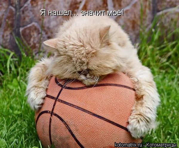 Я нашел... значит моё!... Котоматрица: Я нашел... значит моё!