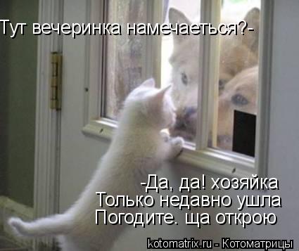 Тут вечеринка намечаеться?- -Да, да! хозяйка Только недавно ушла Погодите. ща открою... Котоматрица: Тут вечеринка намечаеться?- -Да, да! хозяйка Только недавно ушла Погодите. ща открою