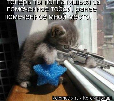 теперь ты поплатишься за помеченное тобой, ранее помеченное мной место!...... Котоматрица: теперь ты поплатишься за помеченное тобой, ранее помеченное мной место!...
