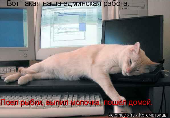 Вот такая наша админская работа. Поел рыбки, выпил молочка, пошёл домой.... Котоматрица: Вот такая наша админская работа. Поел рыбки, выпил молочка, пошёл домой.