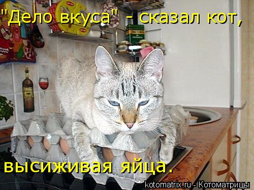 "Дело вкуса" - сказал кот, высиживая яйца.... Котоматрица: "Дело вкуса" - сказал кот, высиживая яйца.