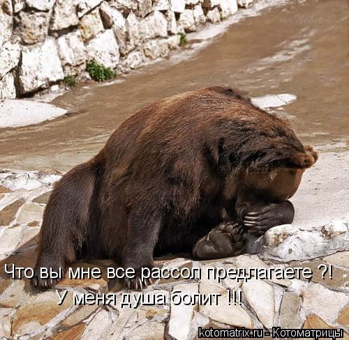 Что вы мне все рассол предлагаете ?! У меня душа болит !!!... Котоматрица: Что вы мне все рассол предлагаете ?! У меня душа болит !!!