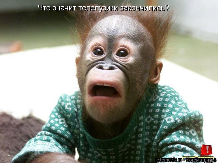 Что значит телепузики закончились?... Котоматрица: Что значит телепузики закончились?