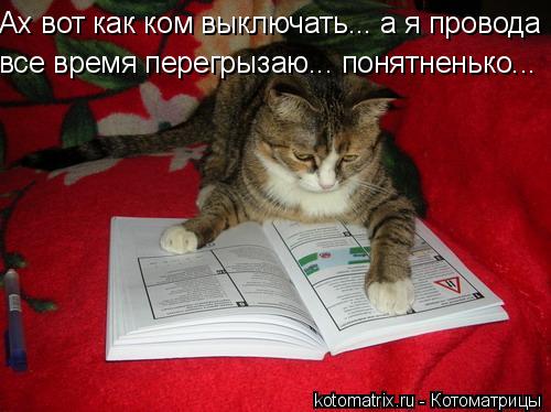 Ах вот как ком выключать... а я провода все время перегрызаю... понятненько...... Котоматрица: Ах вот как ком выключать... а я провода все время перегрызаю... понятненько...