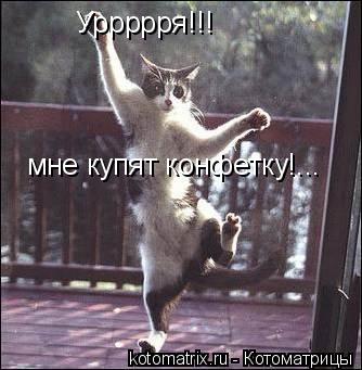 Уррррря!!! мне купят конфетку!...... Котоматрица: Уррррря!!! мне купят конфетку!...