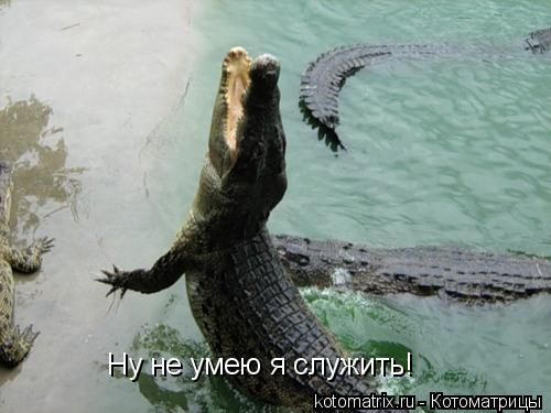 Ну не умею я служить!... Котоматрица: Ну не умею я служить!