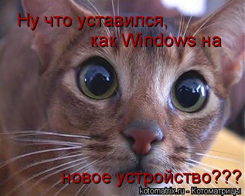 Котоматрица: Ну что уставился, как Windows на  новое устройство???
