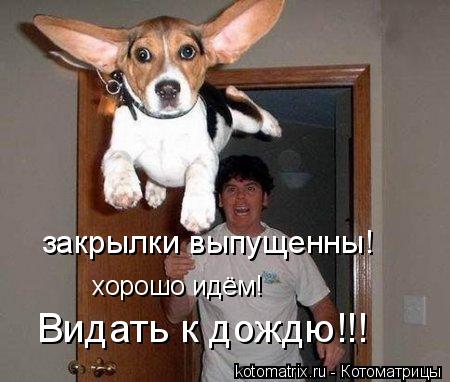закрылки выпущенны! хорошо идём! Видать к дождю!!!... Котоматрица: закрылки выпущенны! хорошо идём! Видать к дождю!!!