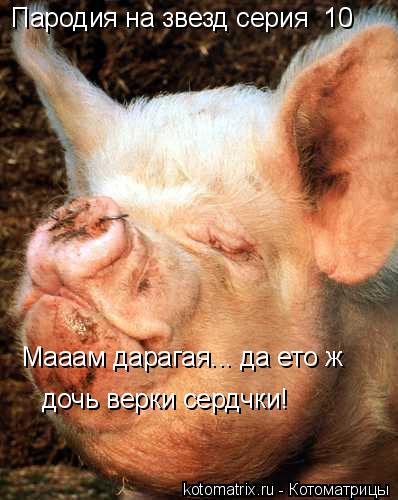 Пародия на звезд серия №10 Мааам дарагая... да ето ж дочь верки сердчки!... Котоматрица: Пародия на звезд серия №10 Мааам дарагая... да ето ж дочь верки сердчки!