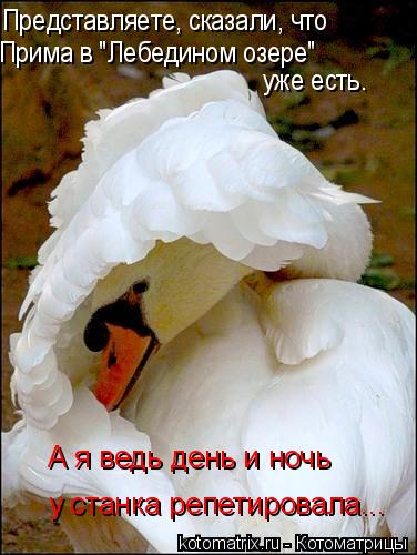 Представляете, сказали, что Прима в "Лебедином озере" уже есть. у станка репетировала... А я ведь ден... Котоматрица: Представляете, сказали, что Прима в "Лебедином озере" уже есть. у станка репетировала... А я ведь день и ночь