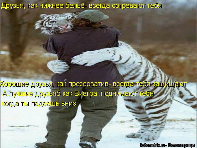 Друзья, как нижнее бельё- всегда согревают тебя Хорошие друзья, как презерватив- всегда тебя защищают... Котоматрица: Друзья, как нижнее бельё- всегда согревают тебя Хорошие друзья, как презерватив- всегда тебя защищают А лучшие друзьяб как Виагра .поднимаю