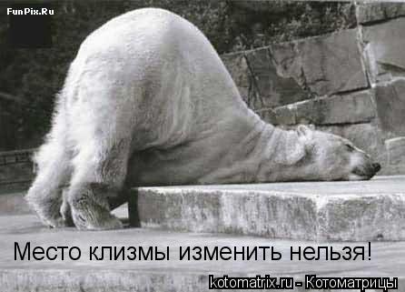 Место клизмы изменить нельзя!... Котоматрица: Место клизмы изменить нельзя!
