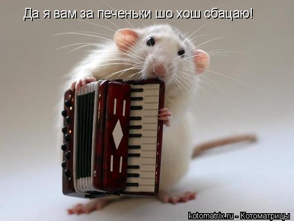 Да я вам за печеньки шо хош сбацаю!... Котоматрица: Да я вам за печеньки шо хош сбацаю!